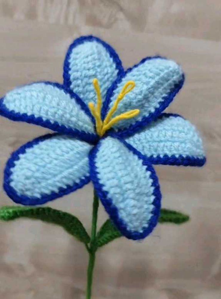 Crochet flower 🌺