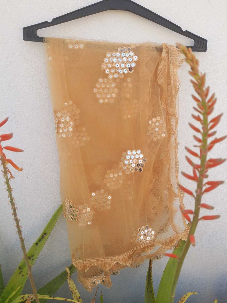 Golden Sequin Embellished Dupatta