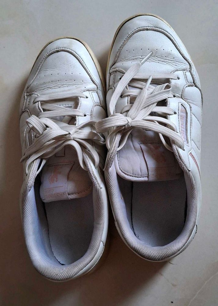 White Redtape Leather Sneakers