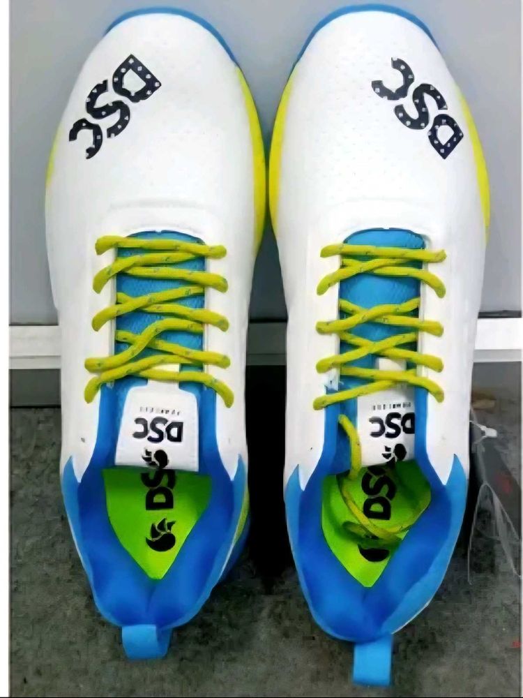 DSC White &amp; Blue Sports Shoes
