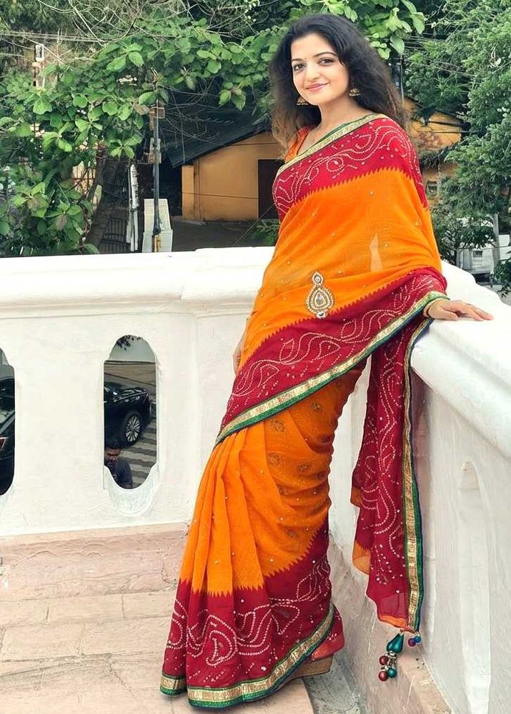 Rajasthani Saree with Embellished Border 🧡✨
