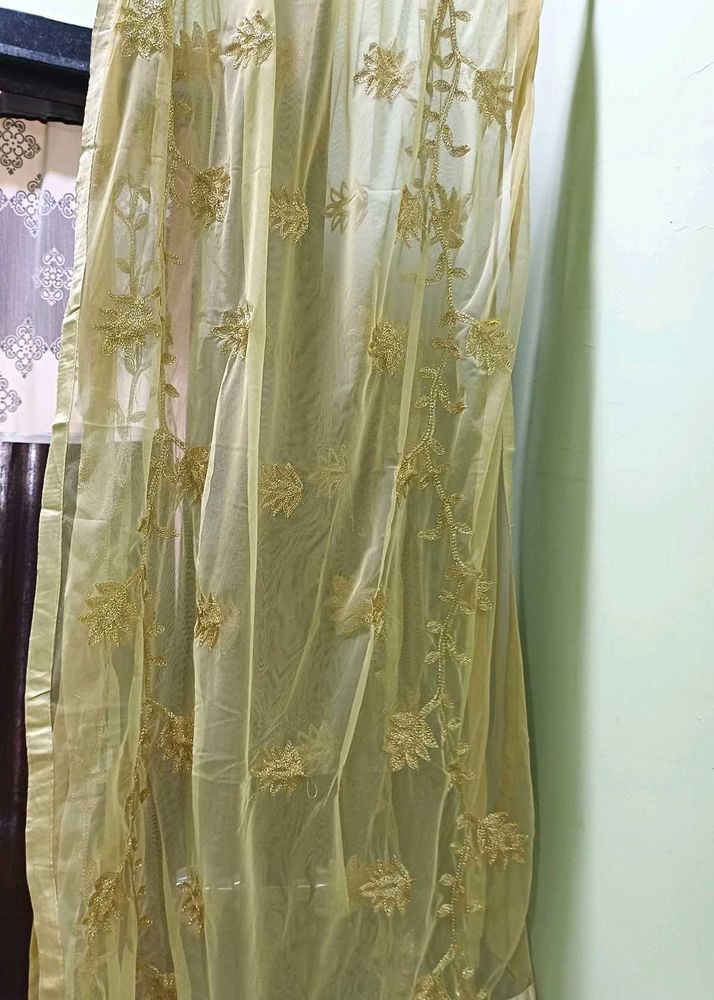 Embroidered Net Dupatta