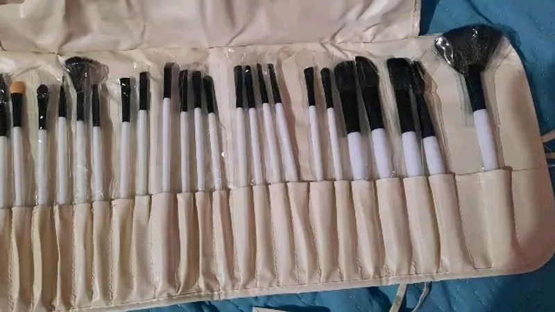 brush sets &amp; kits 24 count (pack of 1)