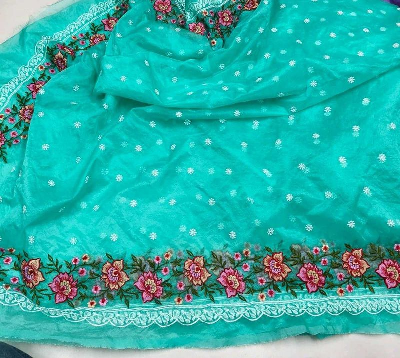New without tag- Organza Embroidered Silk saree