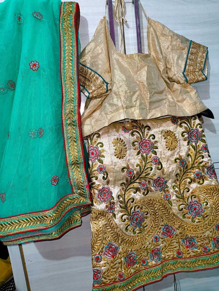 Lehenga Choli Set With One Blouse Free