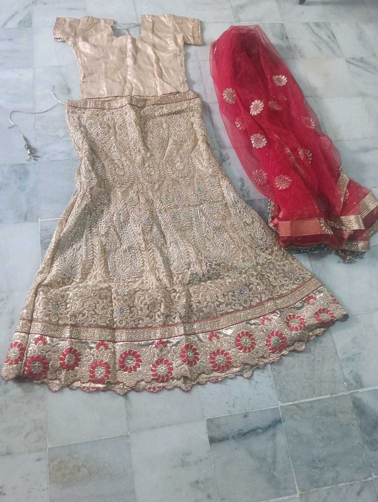 Designer Lehenga Choli Set