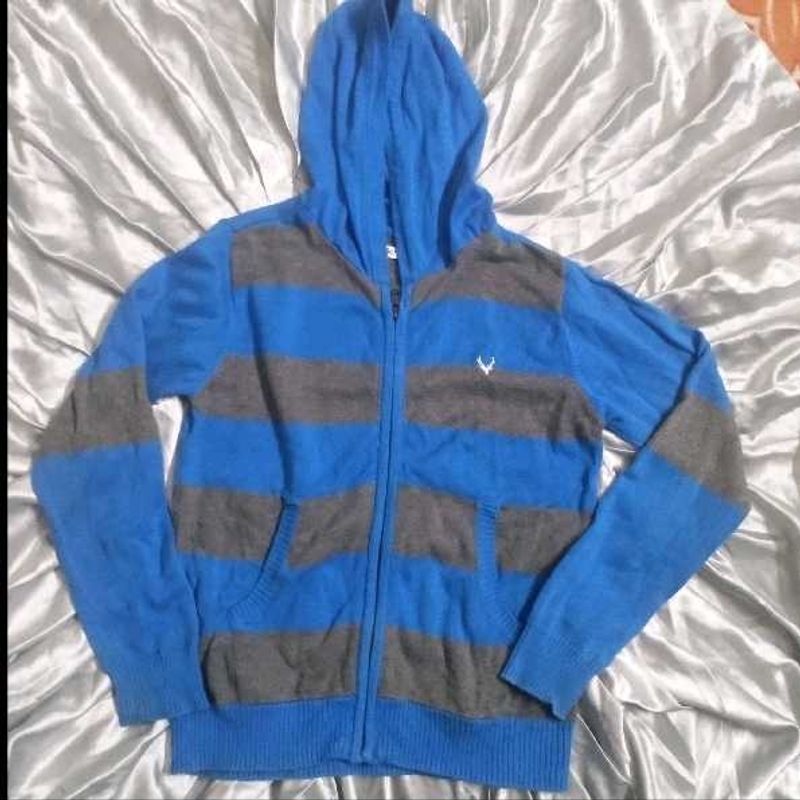 Allen solly Striped Blue Hoodie