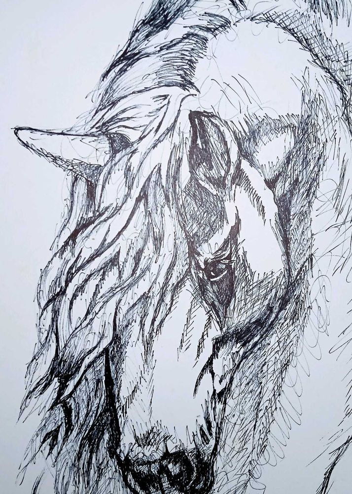 ✨Hand-Drawn Horse Sketch✨
