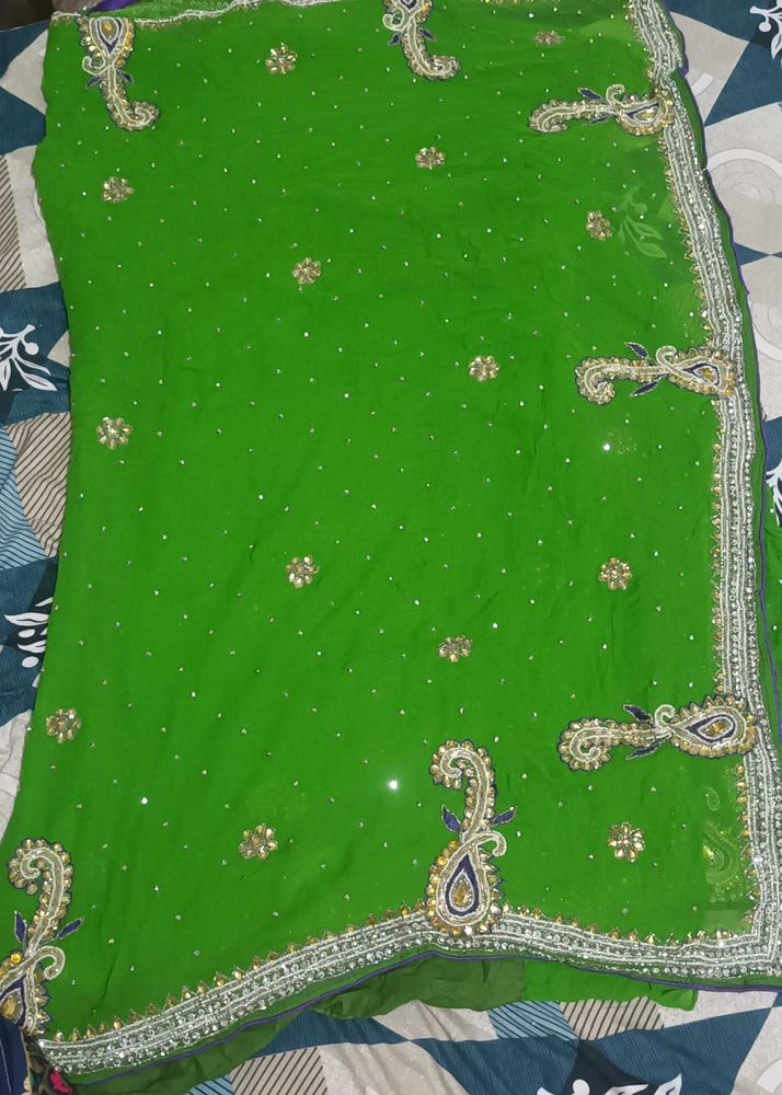 Beautiful Green Embellished Saree