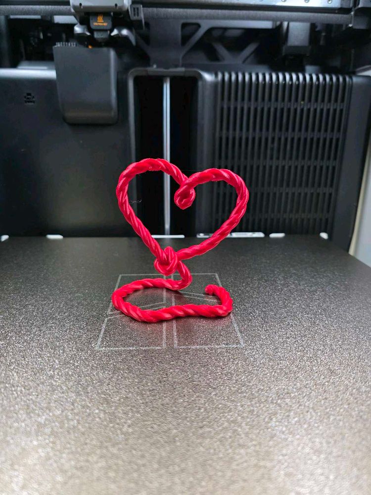 Red 3D Printed Rope Heart  Valentine's