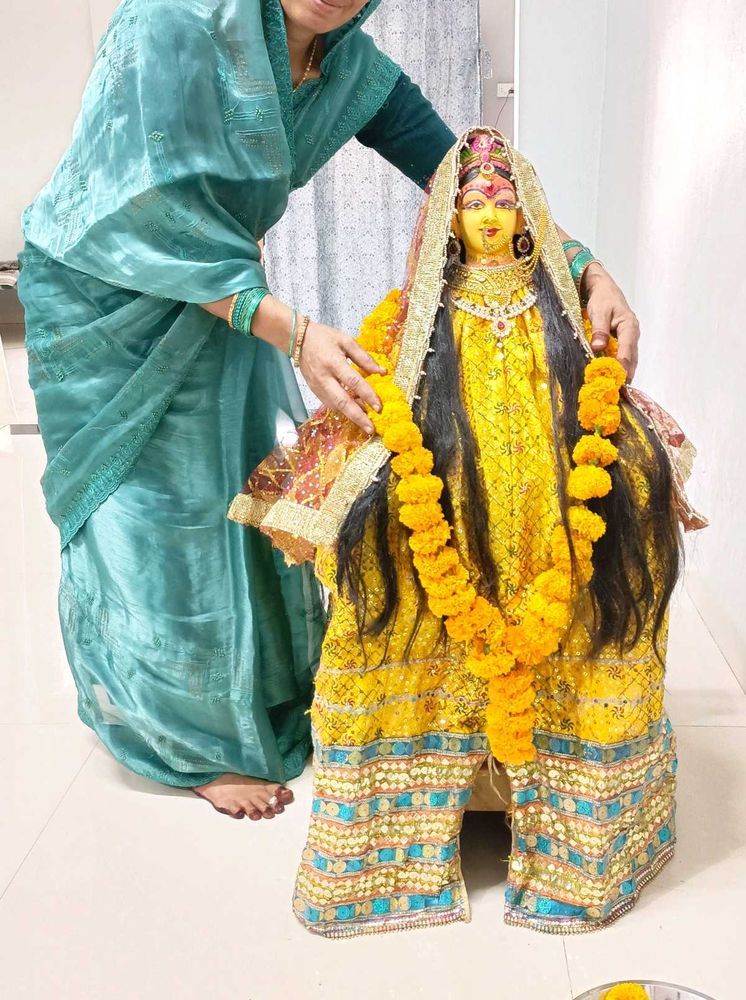 Beutiful Organza Saree..💗💗💗