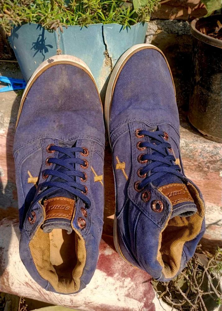 Sparx Blue Casual Shoes