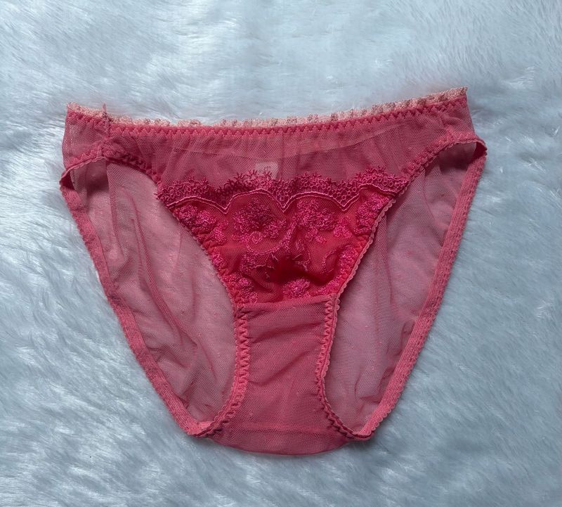 Sheer Pink Lace Briefs