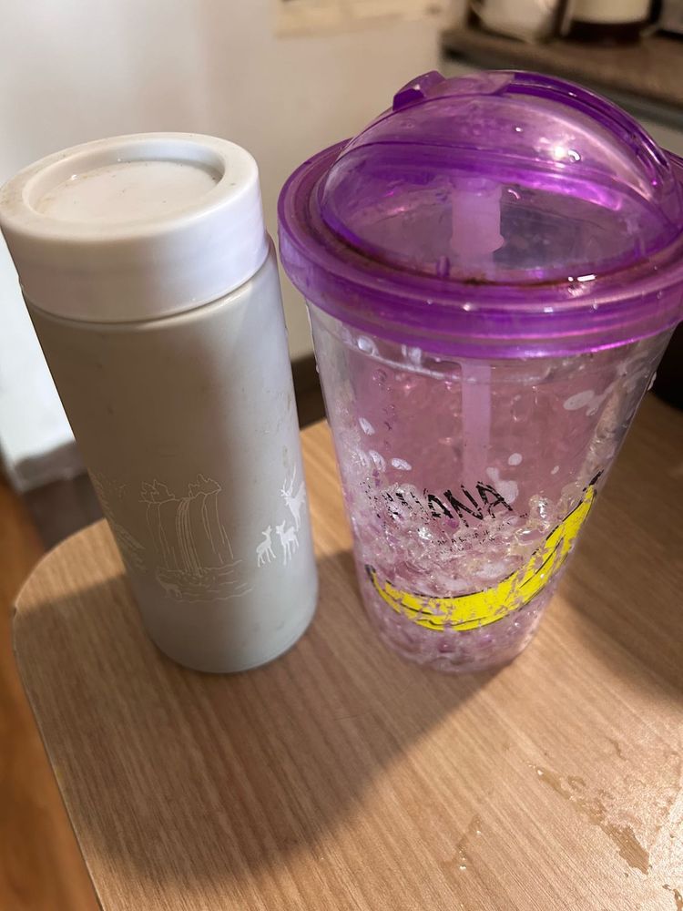 set of 2 Reusable Water Bottles with Lids