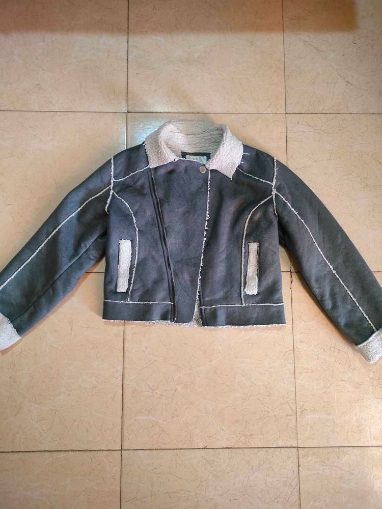 Gray Biker Jacket 🧥🏍️🦈🦭🪨🐏