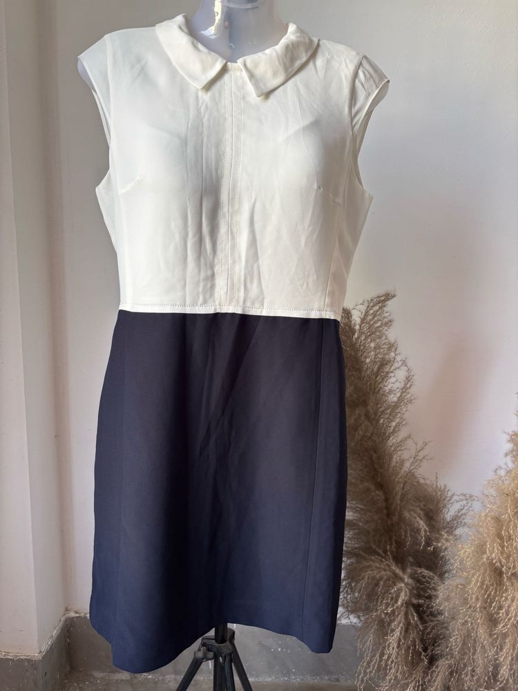 Classic Contrast Collar Dress