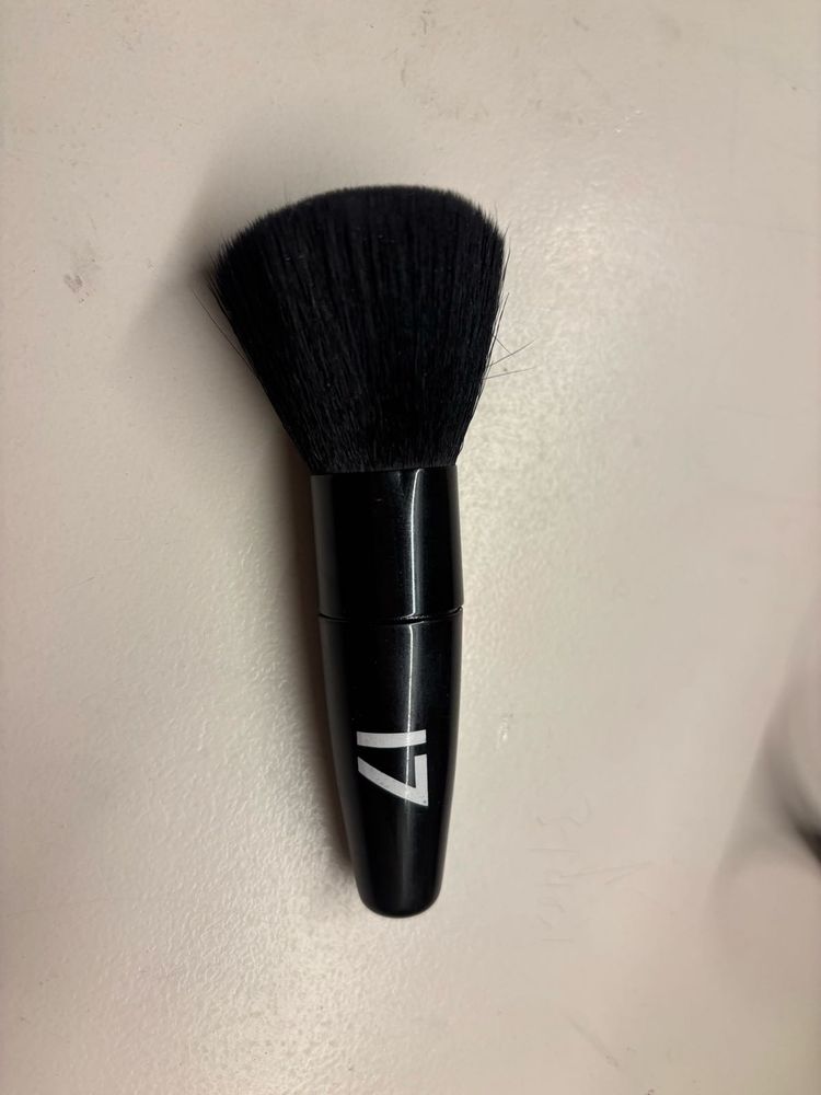 17 Makeup Brush