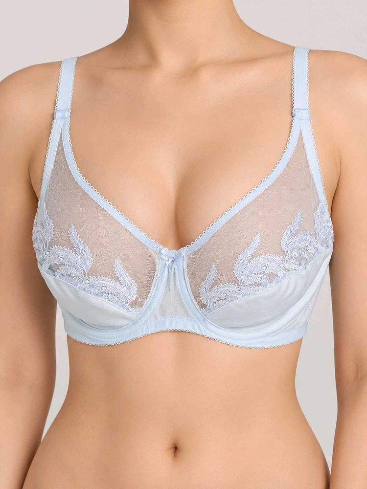 Ethereal Blue Embroidered Sheer Bra