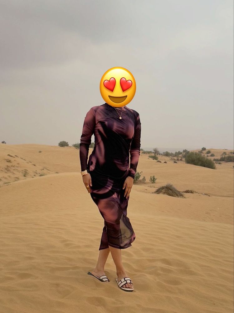 Stylish Printed Mesh Dress