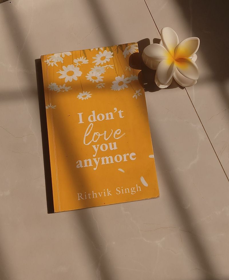 I Don't Love You Anymore Book