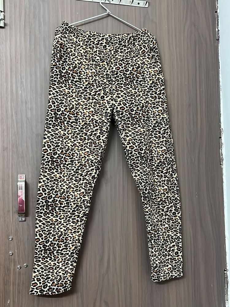pure woollen fleece  free size Legging
