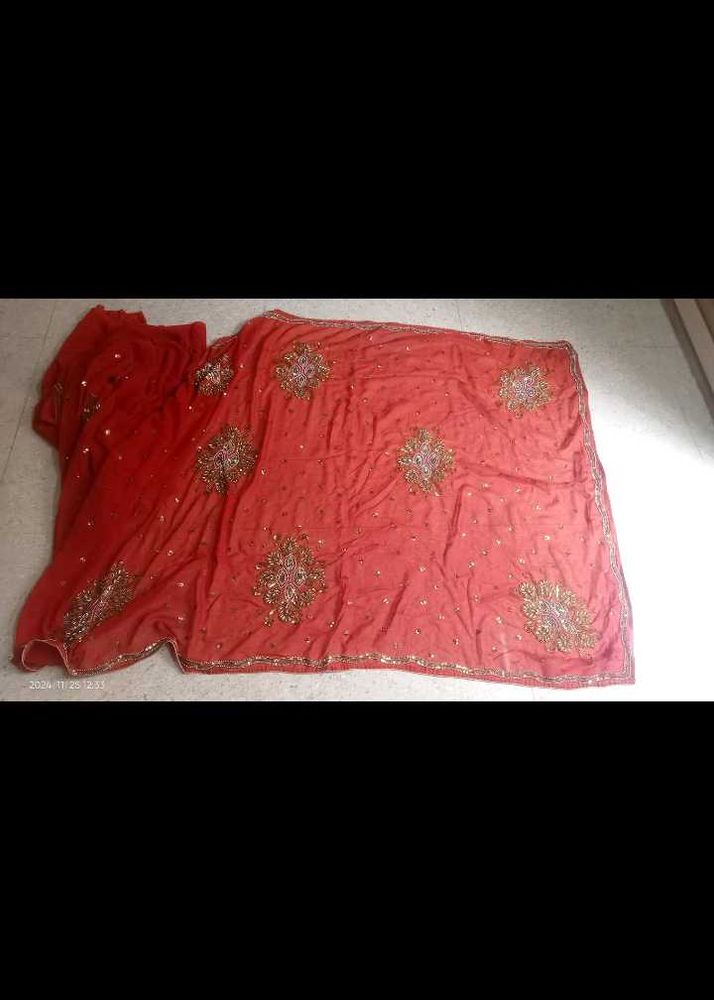 Beautiful Embellished Rust Saree