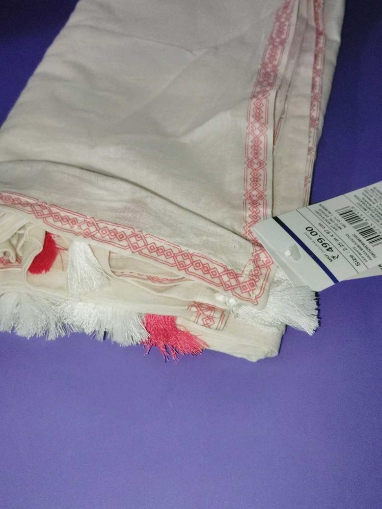 Beautiful Ethnic Dupatta with Tassels