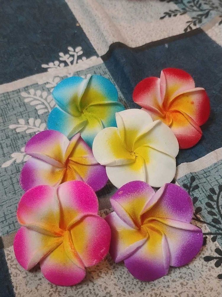 Vibrant Plumeria Hair Clips - Set of 6