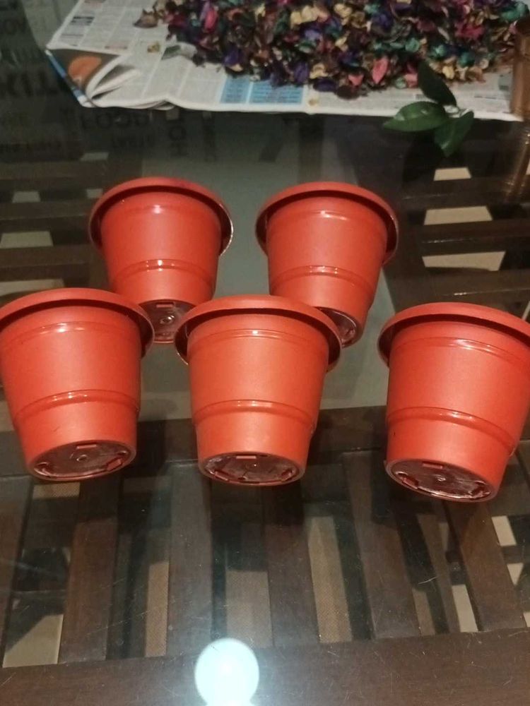 Flower Pots (Set of 5)
