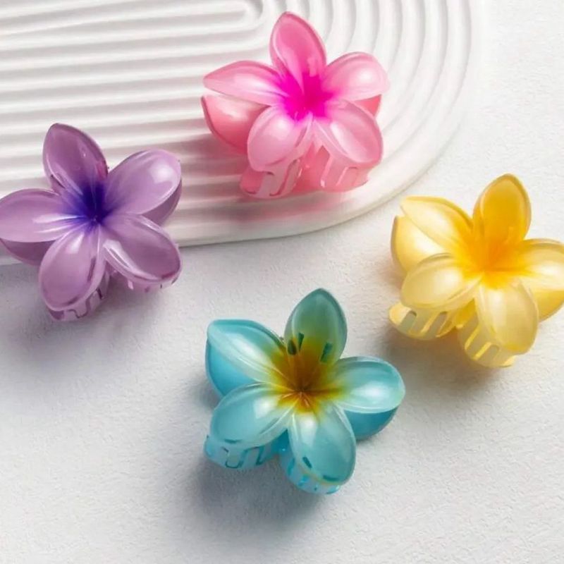Beautiful Hair Accessories Pack Of 4