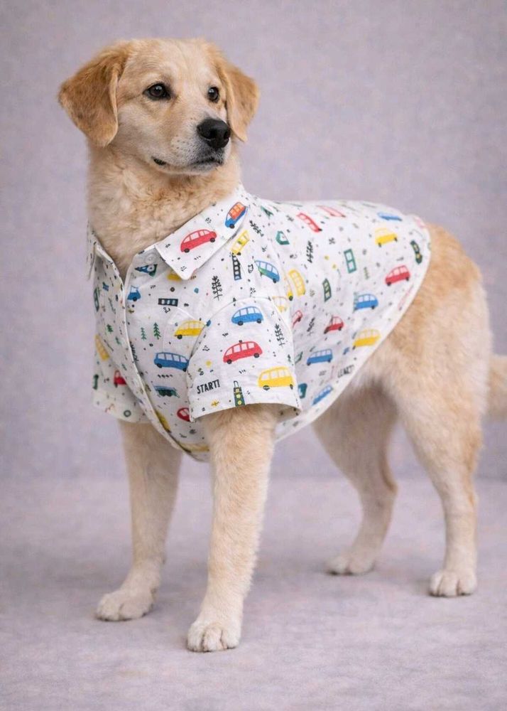 Dog shirt