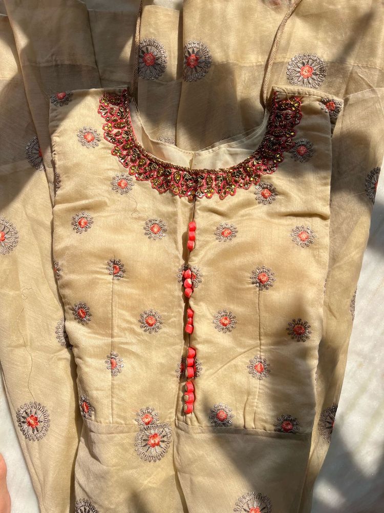 Elegant Embroidered Salwar Kameez