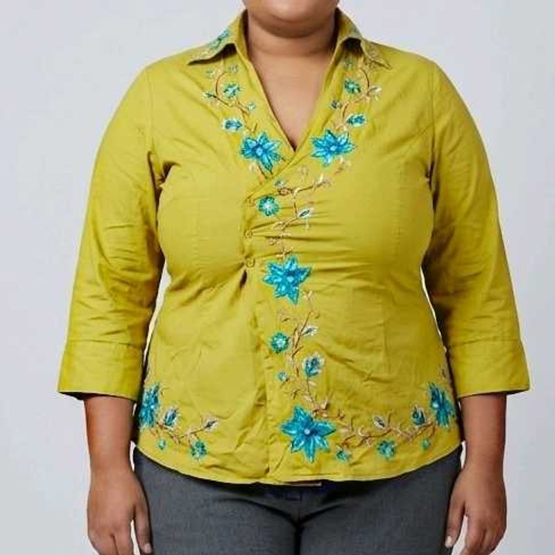 Embroided Shirt style top