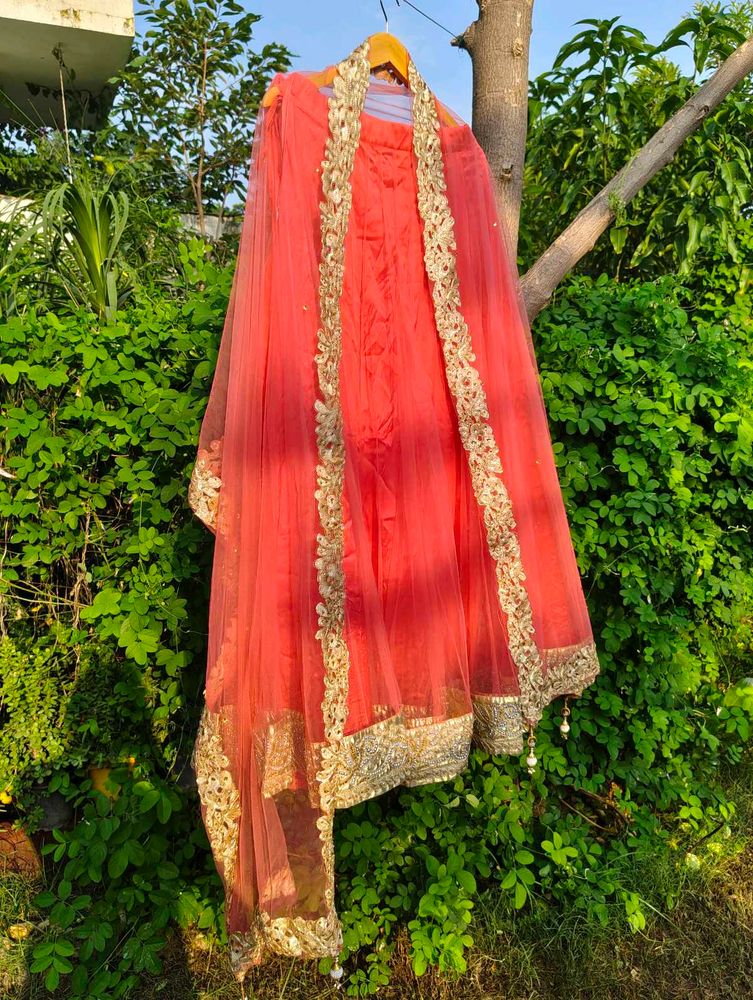 Beautiful Salmon Pink Net Skirt