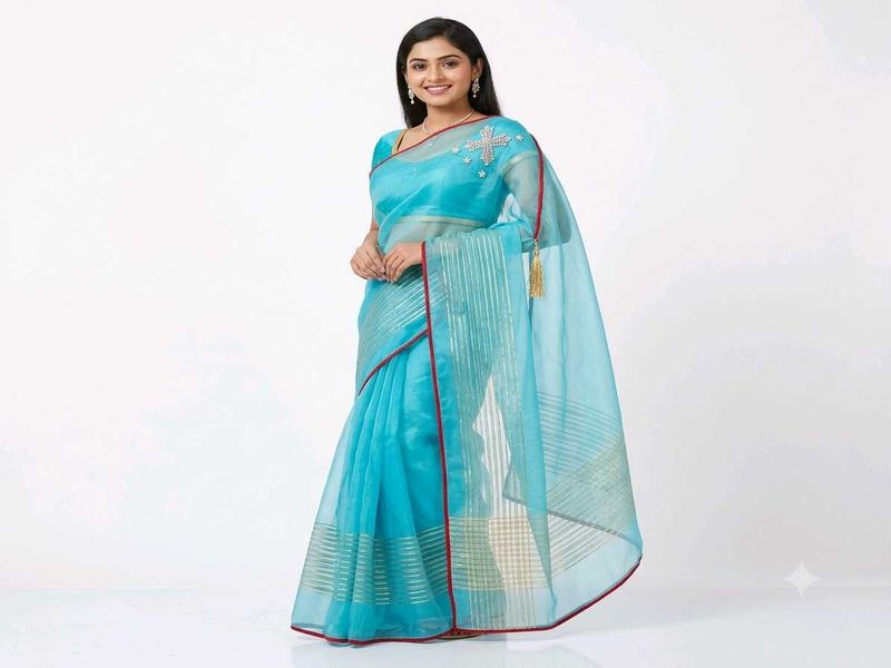 Stunning Blue Organza Saree with Embellishments