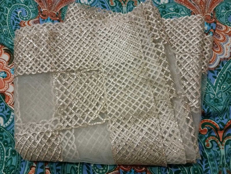 Elegant Gold Net Overlay dupatta