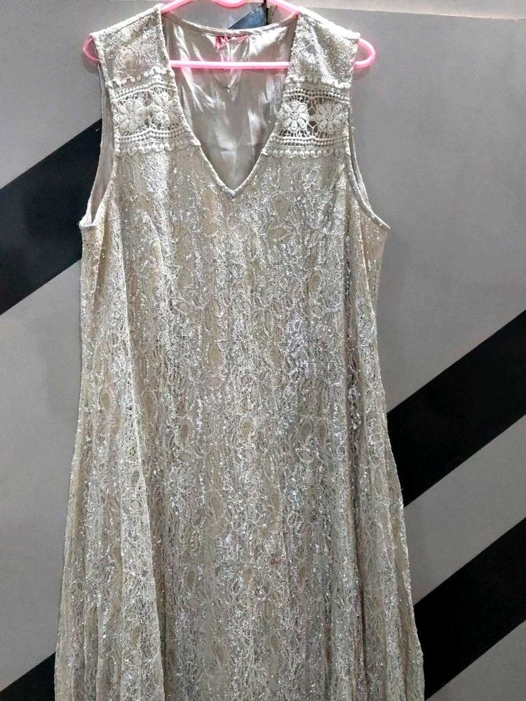 Elegant Lace Embellished Gown