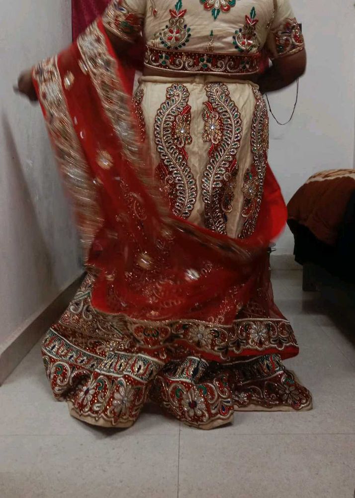 Elegant Embroidered Lehenga Choli Set