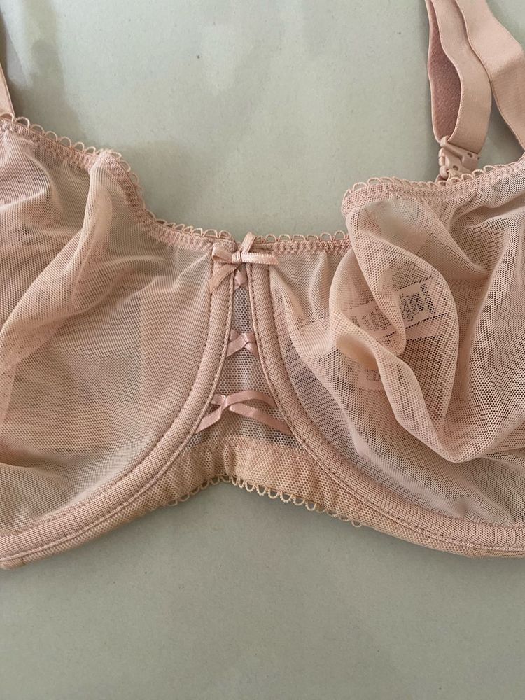 Sheer Mesh Balconette Bra