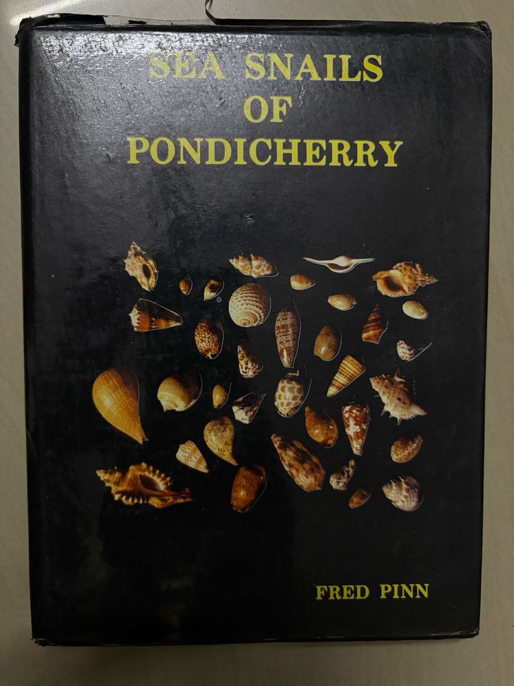 Sea Snails of Pondicherry Book