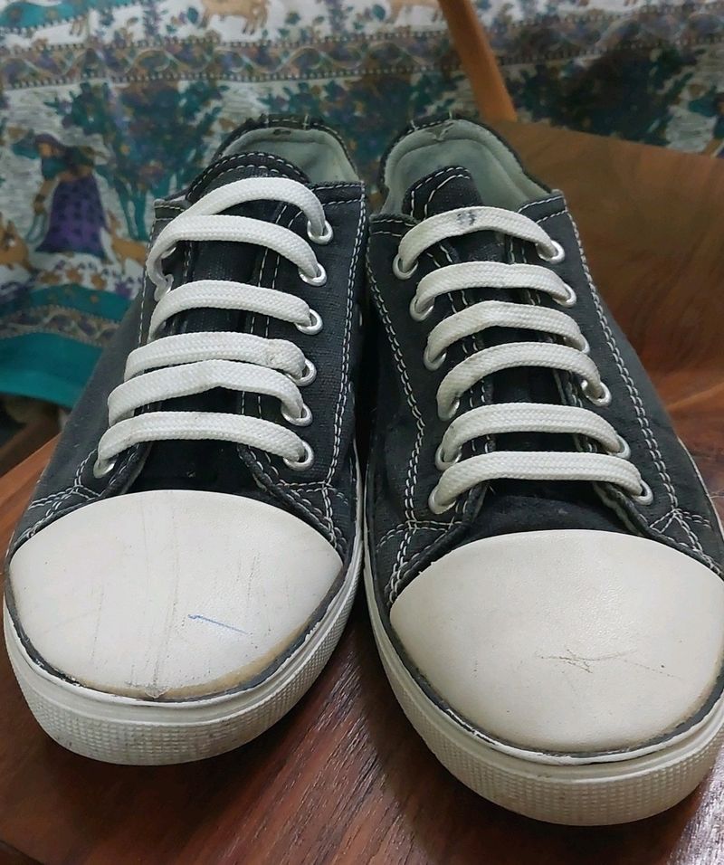 Touch Company , Size= 6 Offer Is Limited Time 15 O