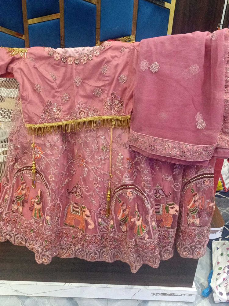 Beautiful Pink Embroidered Lehenga Choli