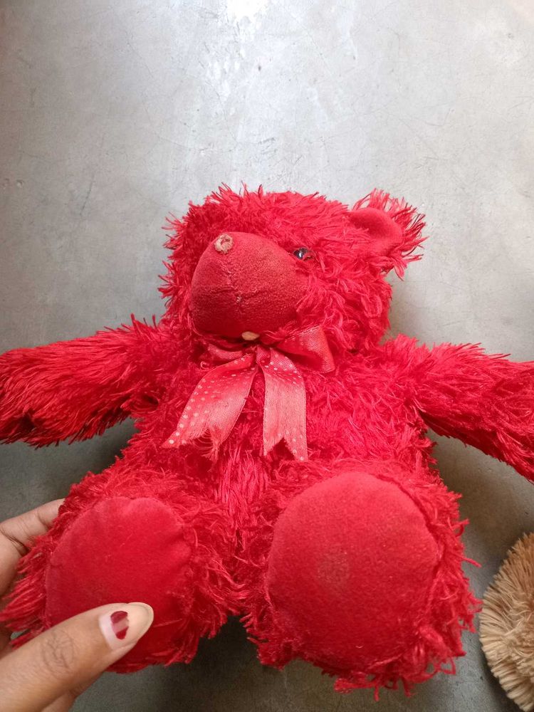 Red Plush Teddy Bear