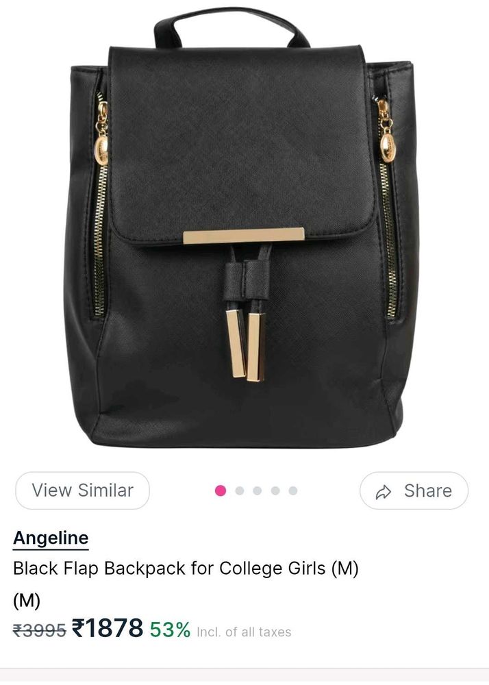 Stylish Black Flap Backpack