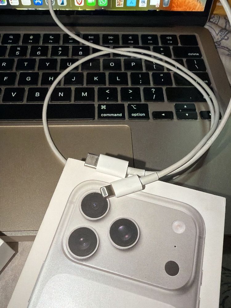 Apple USB-C to Lightning Cable