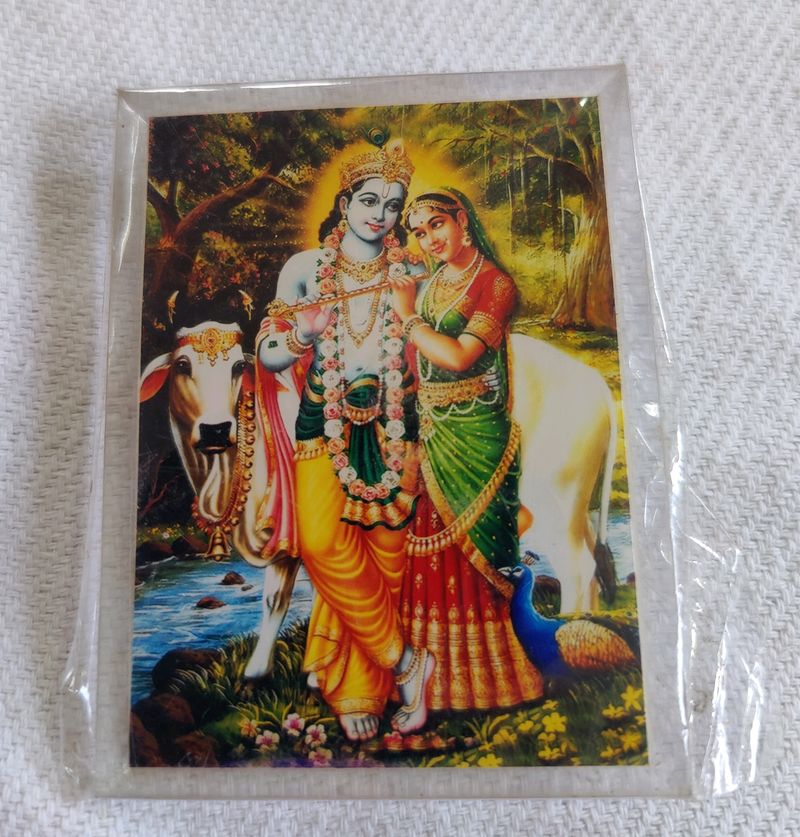 Radha Krishna Small Frame