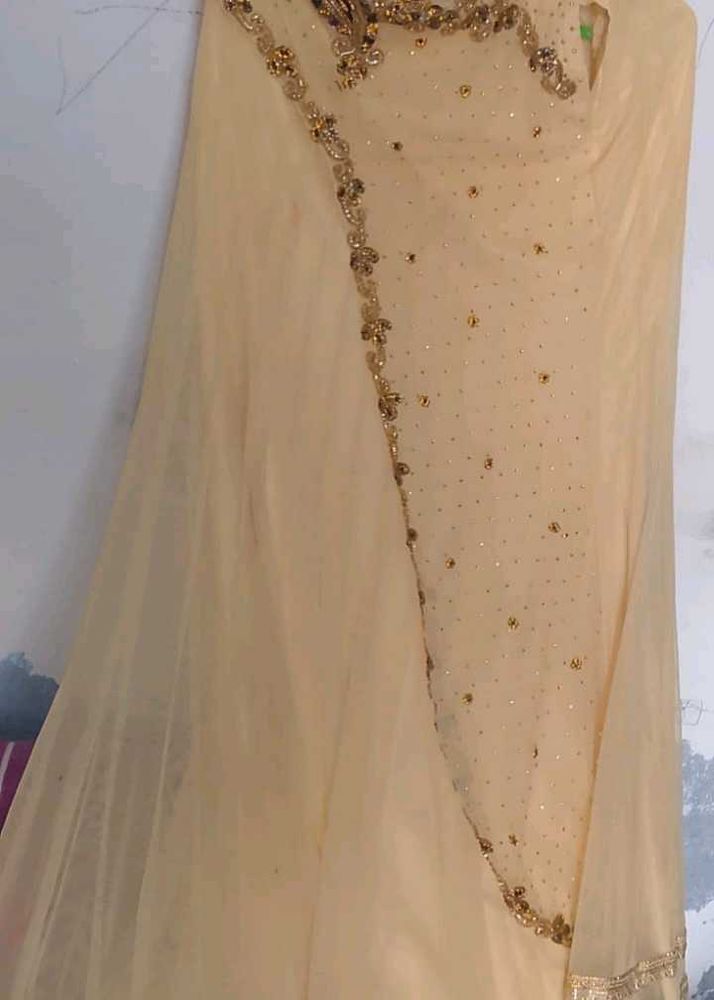 Elegant Cream Embellished Saree