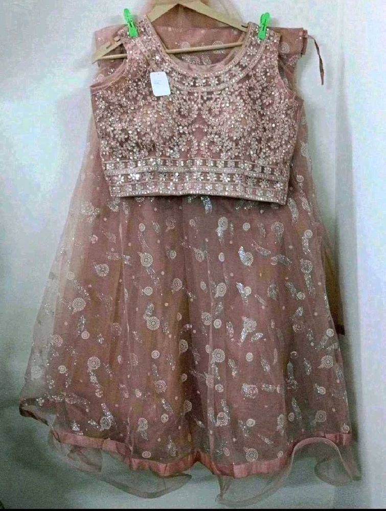 Embellished Lehenga Choli Set