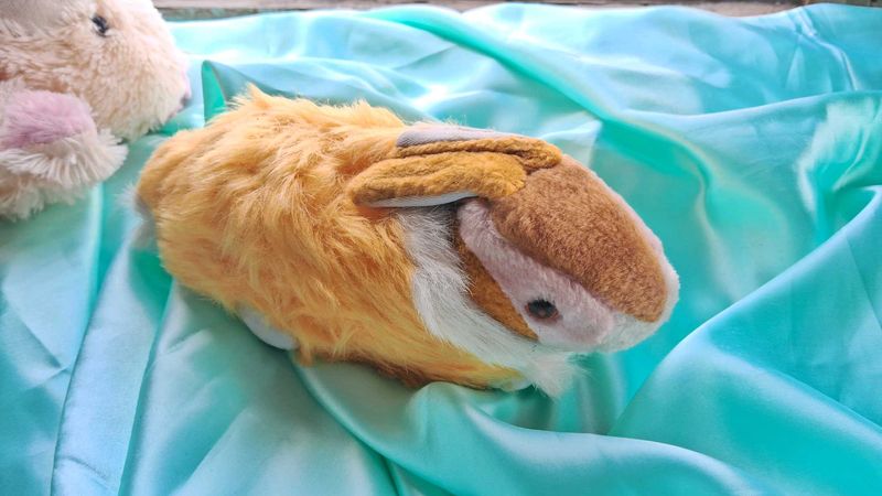 Cute Plush bunny Toy