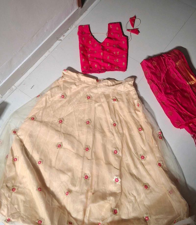 Elegant Lehenga Choli Set